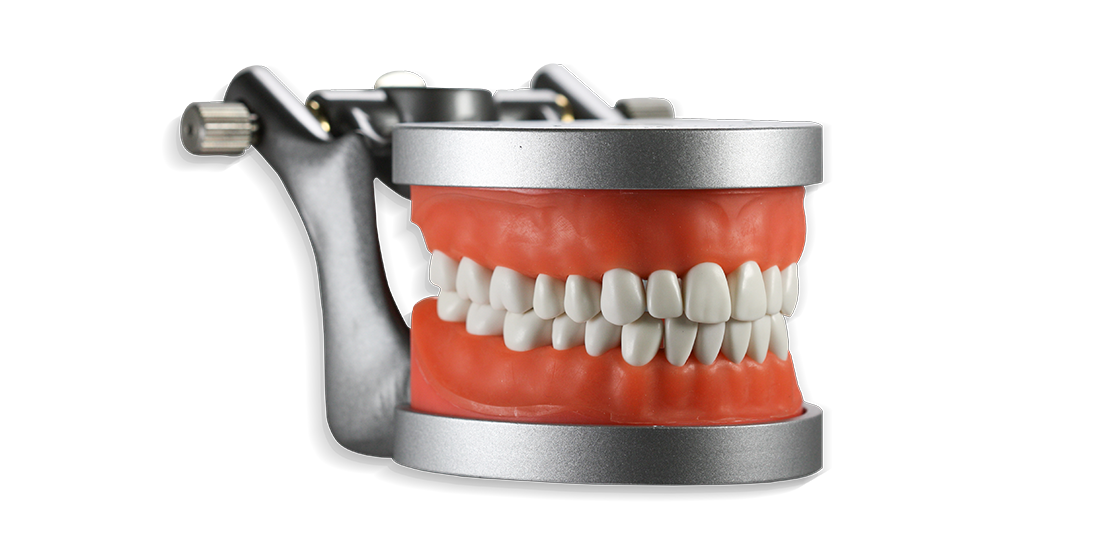 ModuPRO Pros M200 typodont in articulator for SRTA practice and preparation.