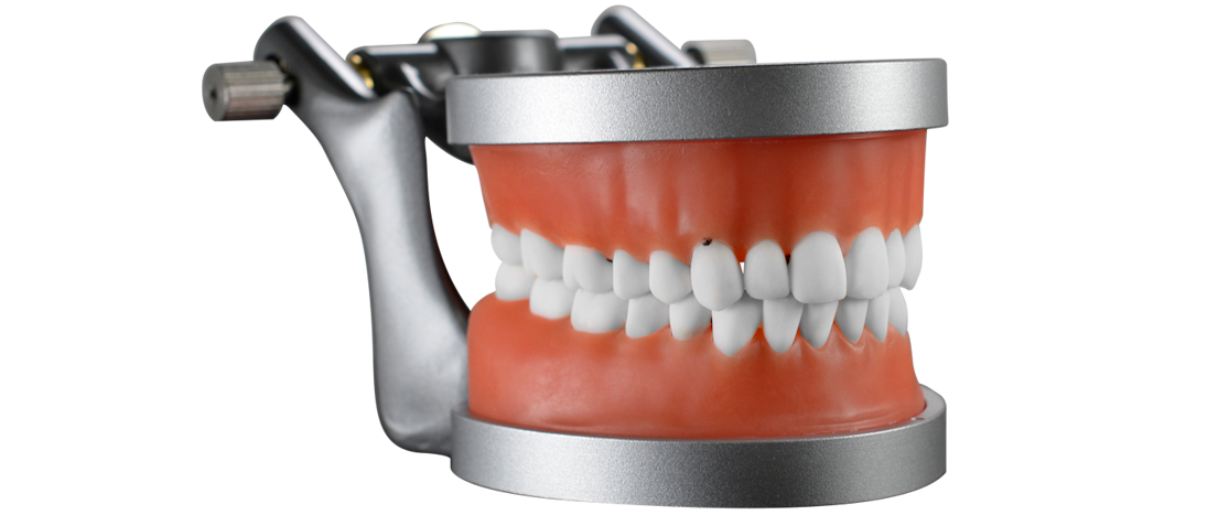 ModuPRO Pros M200 typodont in articulator for CRDTS practice and preparation, next to Real-T Endo tooth 9, tooth 14, and modules used for CRDTS practice.