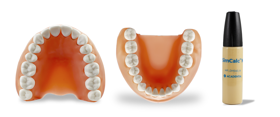 ModuPRO Pros M200 typodont in articulator for CRDTS practice and preparation, next to Real-T Endo tooth 9, tooth 14, and modules used for CRDTS practice.