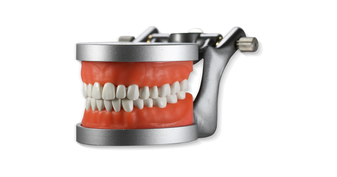 ModuPRO One in articulator, M300 Teeth, Typdont, Dentoform