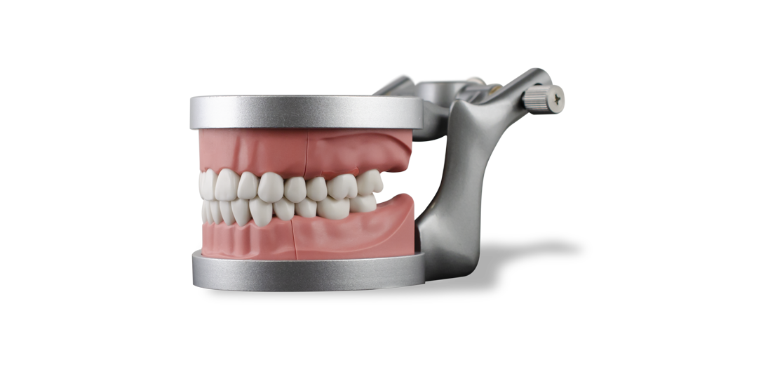 ModuPRO One in articulator, M300 Teeth, Typdont, Dentoform